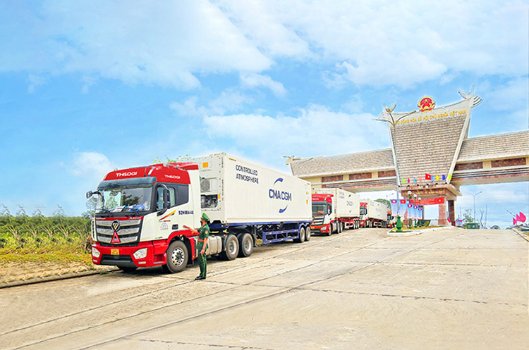 THILOGI serves domestic and international road transportation. Photo: Thanh Thao