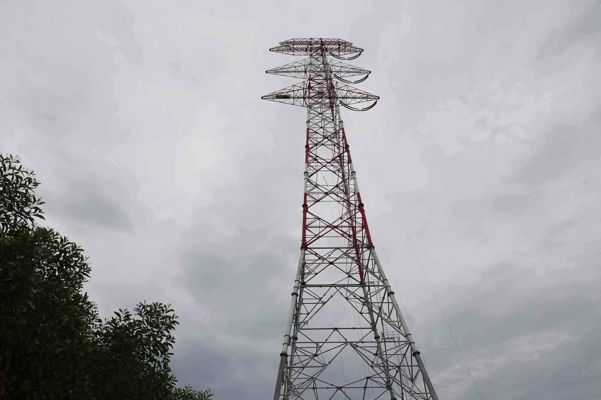 Column number 175 is 145m high. Photo: Tran Tuan.