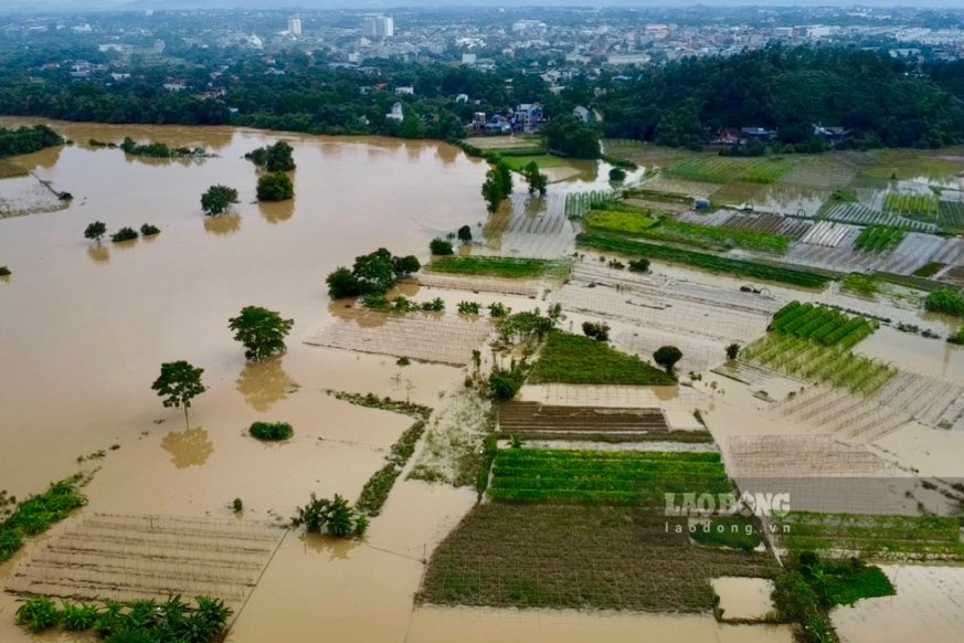 Cơn mưa lũ lớn kỷ lục tại TP Thái Nguyên gây thiệt hại hàng chục ha hoa màu, đất canh tác... của người dân. Ảnh: Việt Bắc.