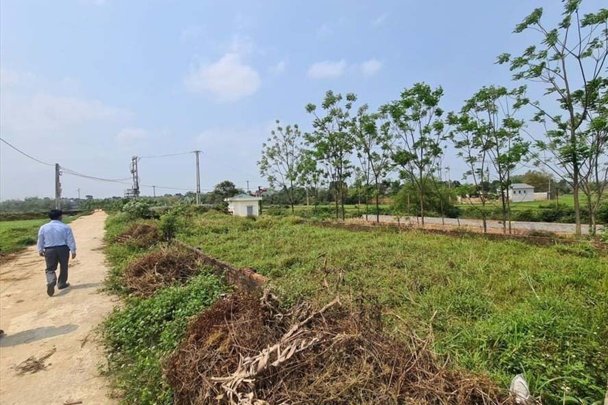 Ba luật liên quan đến bất động sản có hiệu lực kỳ vọng mang lại minh bạch, bền vững cho thị trường. Ảnh: Cao Nguyên