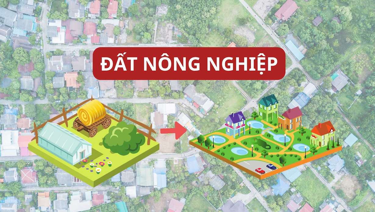 Thủ tục cho phép chuyển đất nông nghiệp lên đất thổ cư 2024.