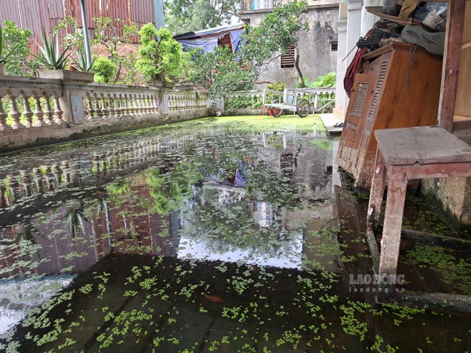 Nước ngập “lênh láng” vì đất dự án không thể tu sửa. Ảnh: Đền Phú 