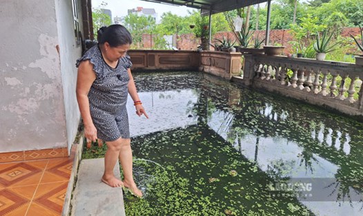 Nước ngập ảnh hường rất nhiều tới đời sống của gia đình bà Tâm. Ảnh: Đền Phú