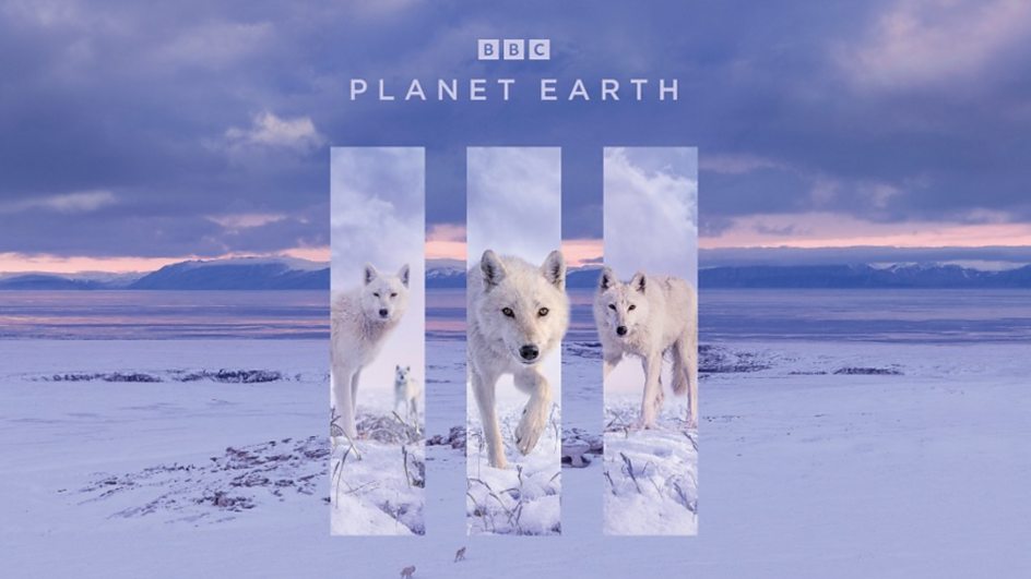 Phim tài liệu "Planet Earth III" của BBC. Ảnh: BBC