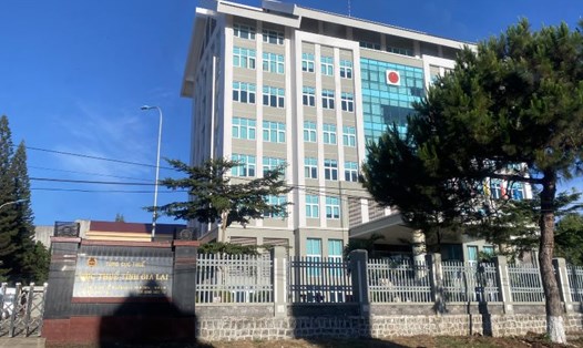 Cục Thuế tỉnh Gia Lai bị điểm tên trong vụ việc vi phạm miễn tiền thuê đất cho Công ty Thủy điện An Khê - KaNak. Ảnh: Chụp màn hình