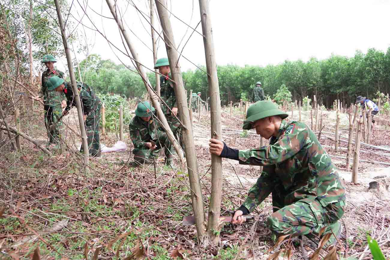 Hỗ trợ phát quang để thuận lợi kéo dây. Ảnh: Hoàng Đức.