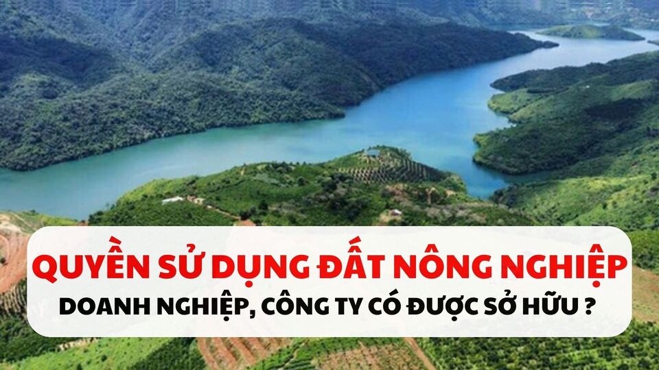 Việc mua quyền sử dụng đất nông nghiệp là vấn đề mà nhiều doanh nghiệp và công ty quan tâm, đặc biệt khi nông nghiệp ngày càng trở thành một lĩnh vực đầu tư hấp dẫn. Ảnh minh họa: Quỳnh Anh
