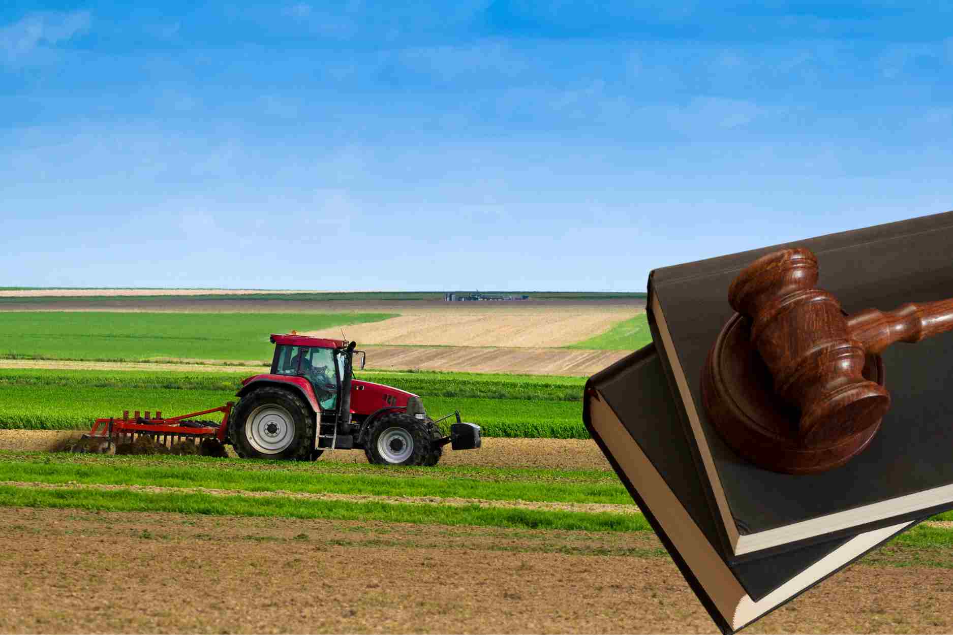 Điều kiện chuyển đổi quyền sử dụng đất nông nghiệp