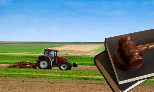 Điều kiện chuyển đổi quyền sử dụng đất nông nghiệp