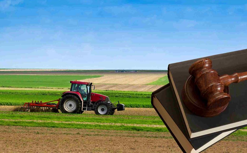 Điều kiện chuyển đổi quyền sử dụng đất nông nghiệp