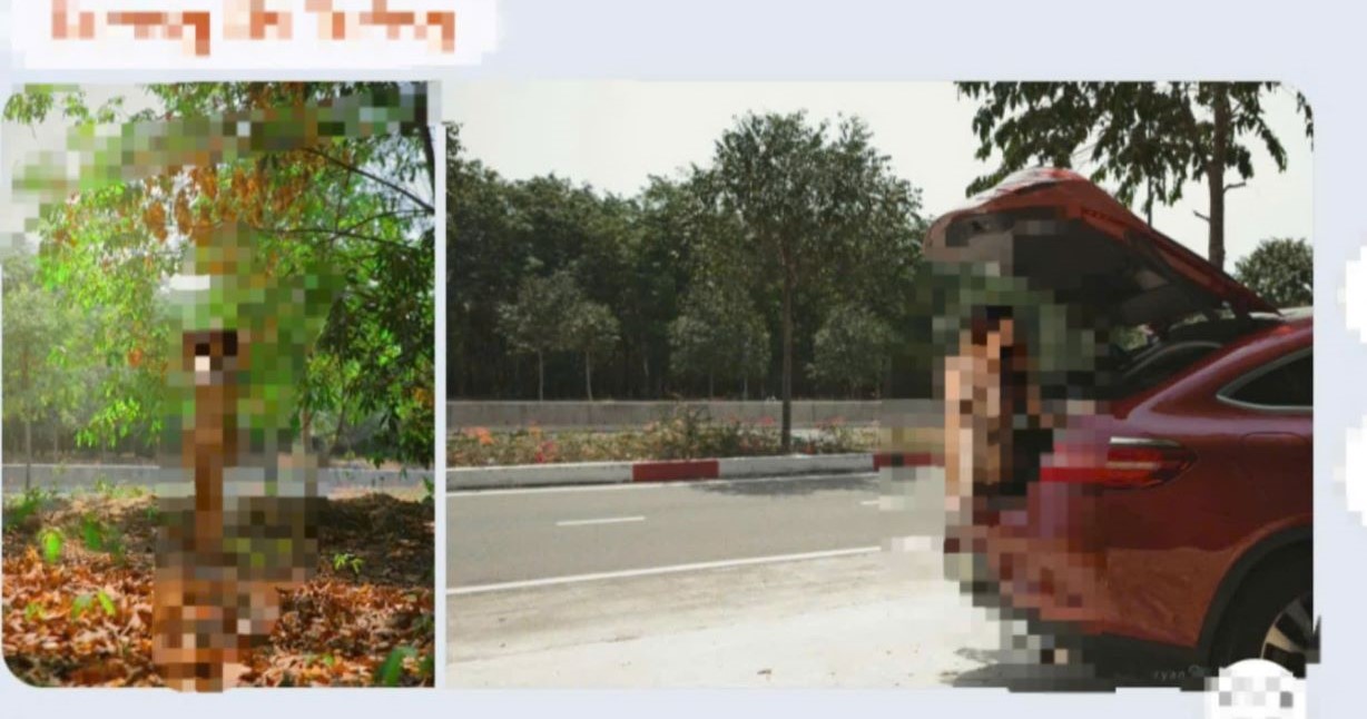 Trên không gian mạng tiếp tục xuất hiện hình ảnh cô gái chụp khỏa thân bên đường Mỹ Phước Tân Vạn. Ảnh chụp màn hình