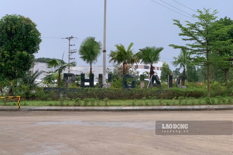 According to Phu Ninh District People's Committee, at Phu Gia Industrial Cluster, the total capital of implemented projects is 18.47/27 million USD. The area where site clearance compensation has been paid is 27.79 hectares, the area allocated land by the Provincial People's Committee is 14.97 hectares; The land area that has been compensated and cleared for purposes that have not yet been converted is 12.82 hectares; The uncompensated area is 10.21 hectares, of which 9.13 hectares have been counted and 1.08 hectares have not been counted.