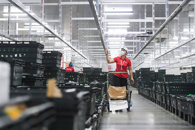 WinCommerce logistics staff check the automatic goods distribution system. Photo: WinCommerce