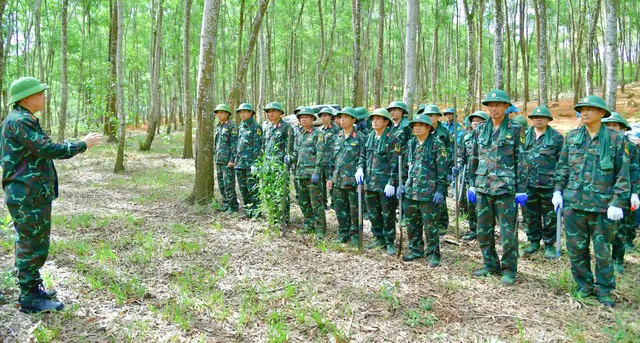 Đại tá Trần Võ Việt, Phó Chỉ huy trưởng Bộ Chỉ huy Quân sự tỉnh Nghệ An giao nhiệm vụ cho cán bộ, chiến sĩ. Ảnh: Quang Hải