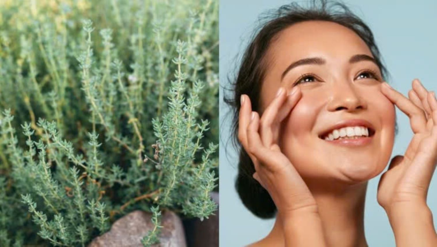 Thyme is very good for the skin. Image source: Adobe Stock