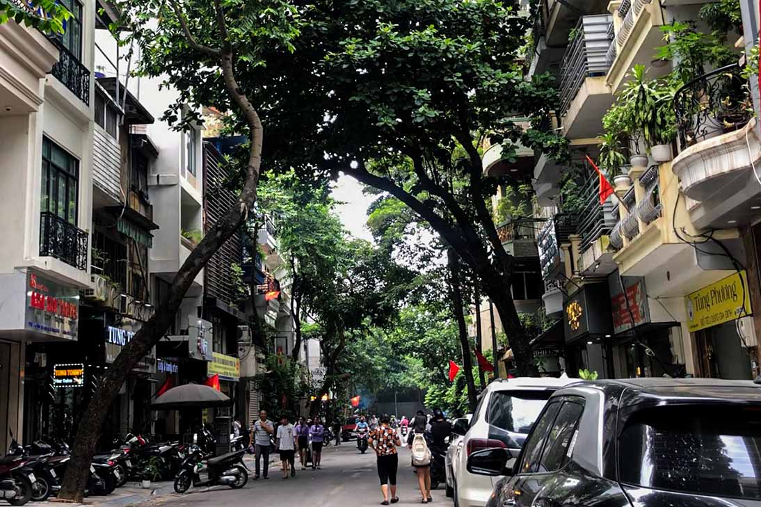 Nguy cơ gãy đổ từ các hàng cây xiêu vẹo ở Hà Nội
