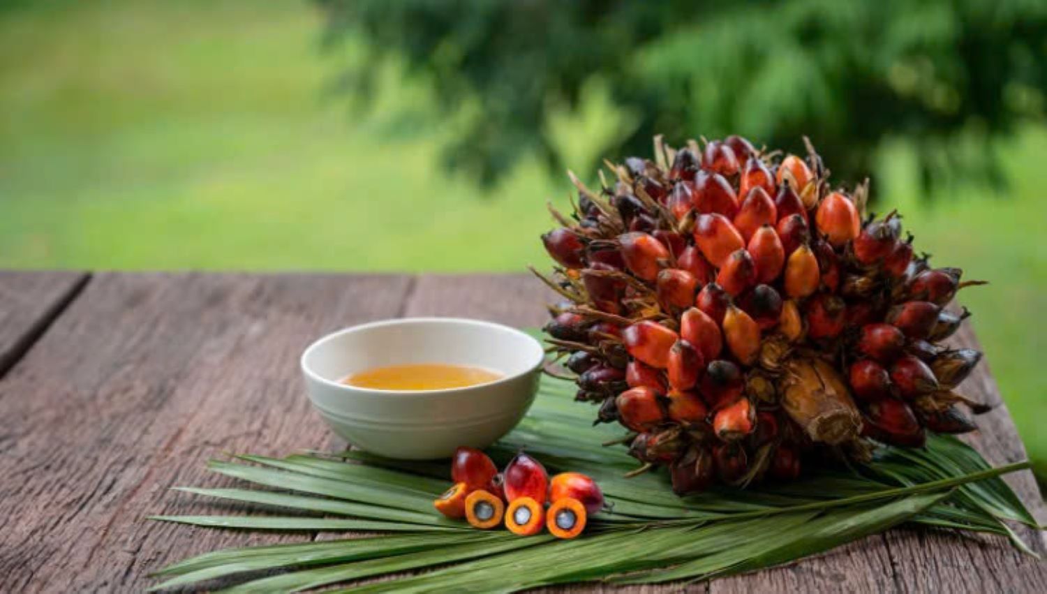 Palm oil and heart health. Image source: Adobe Stock