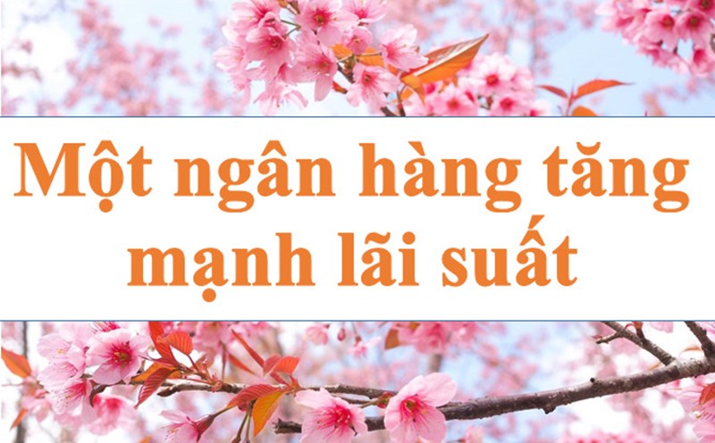 Thêm ngân hàng tăng lãi suất. Ảnh minh họa: Hà Vy