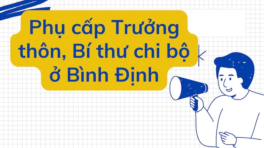 Phụ cấp Trưởng thôn, Bí thư chi bộ ở Bình Định.