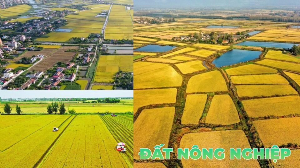 Đất nông nghiệp, nguồn tài nguyên quý giá của nền kinh tế, không chỉ là nơi sản xuất lương thực, thực phẩm mà còn gắn liền với cuộc sống và sinh kế của hàng triệu nông dân. Đồ họa: Quỳnh Anh 