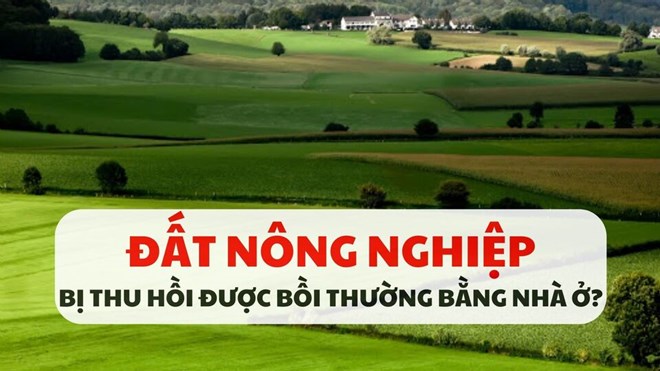Bất ngờ đất nông nghiệp bị tịch thu được đền bù bằng nhà ở
