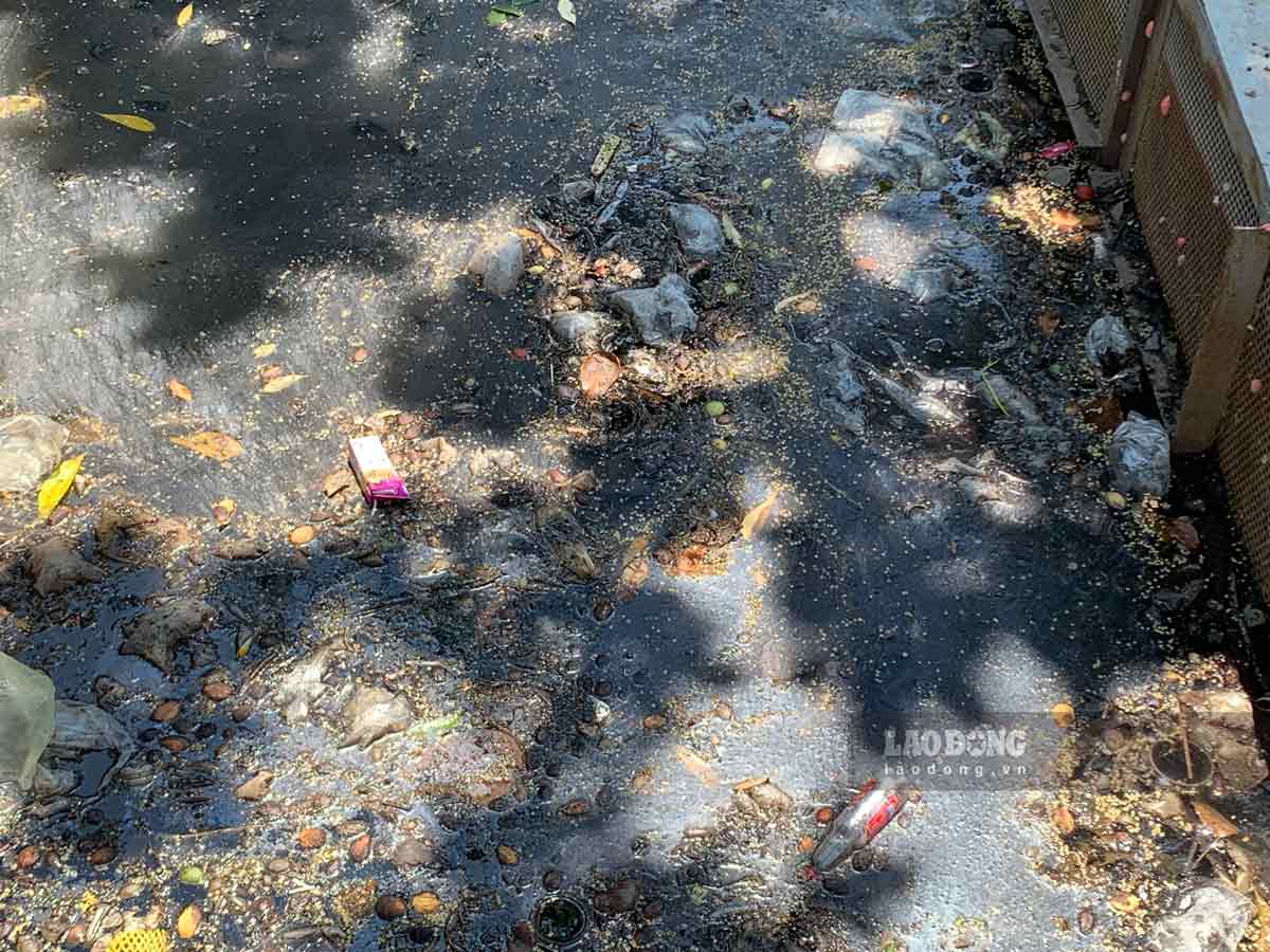 The polluted canal route in Hai Minh commune (Hai Hau district, Nam Dinh province) was previously recorded by Lao Dong Newspaper reporter. Photo: Ha Vi