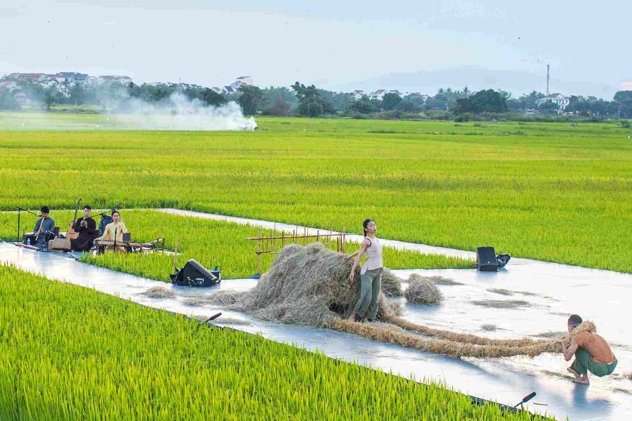 Folk music combined with contemporary dance will be performed in the middle of Hoi An rice fields. Photo: Arabesque Vietnam