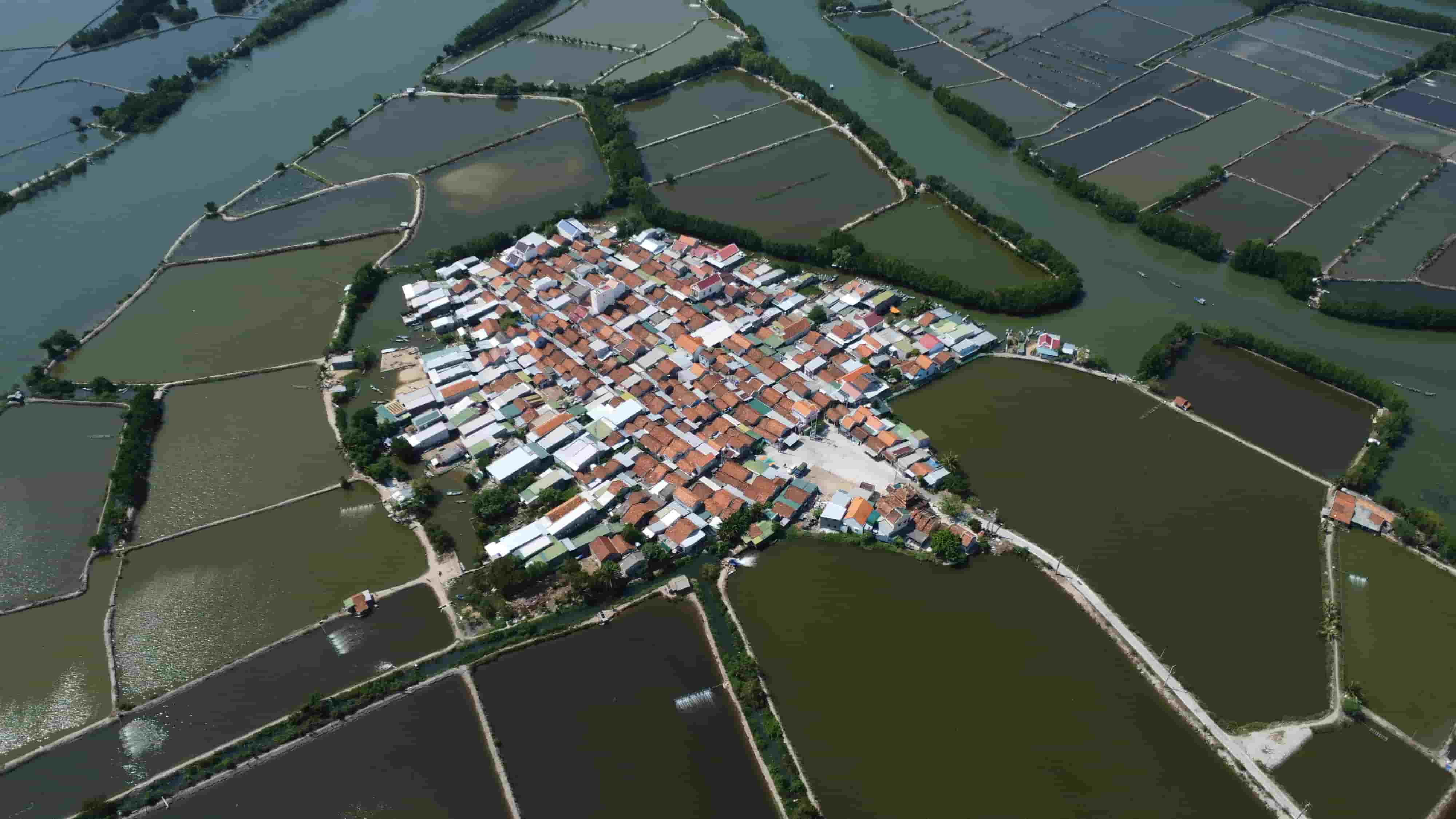 Làng Hà Liên như một ốc đảo giữa các ao nuôi trồng thủy sản ở đầm Nha Phu, tỉnh Khánh Hòa. 