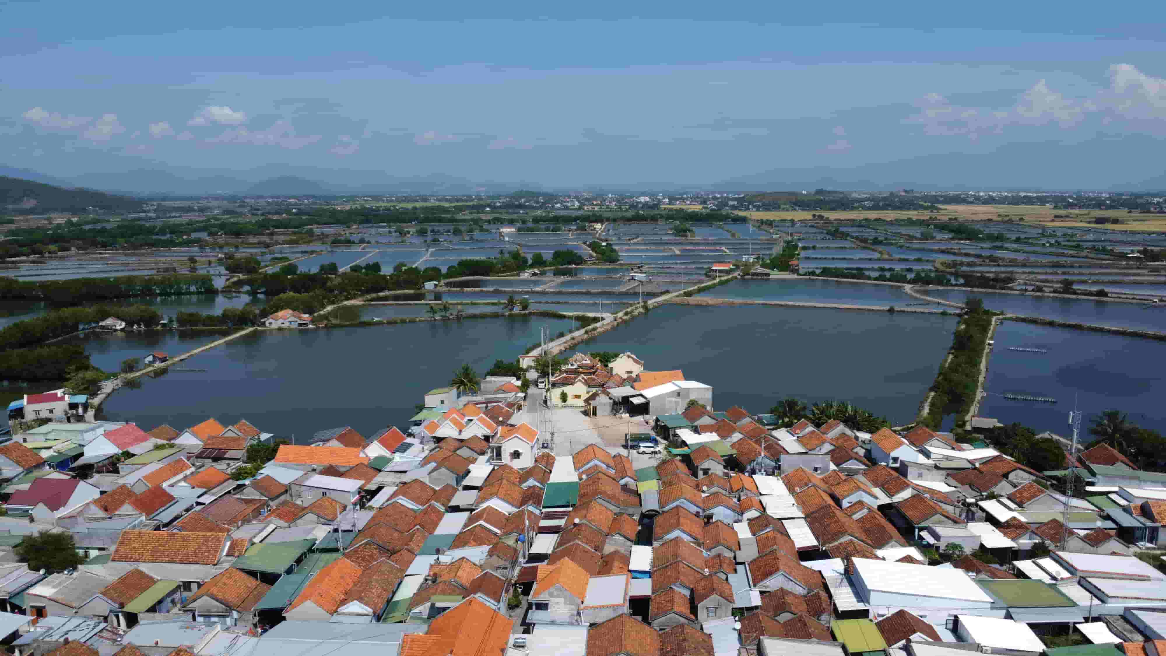 Seen from above, Ha Lien village stands out with its closely built houses and bright red tiled roofs.