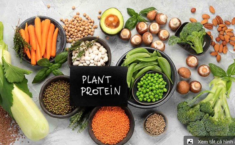 6 lợi ích sức khỏe của protein thực vật