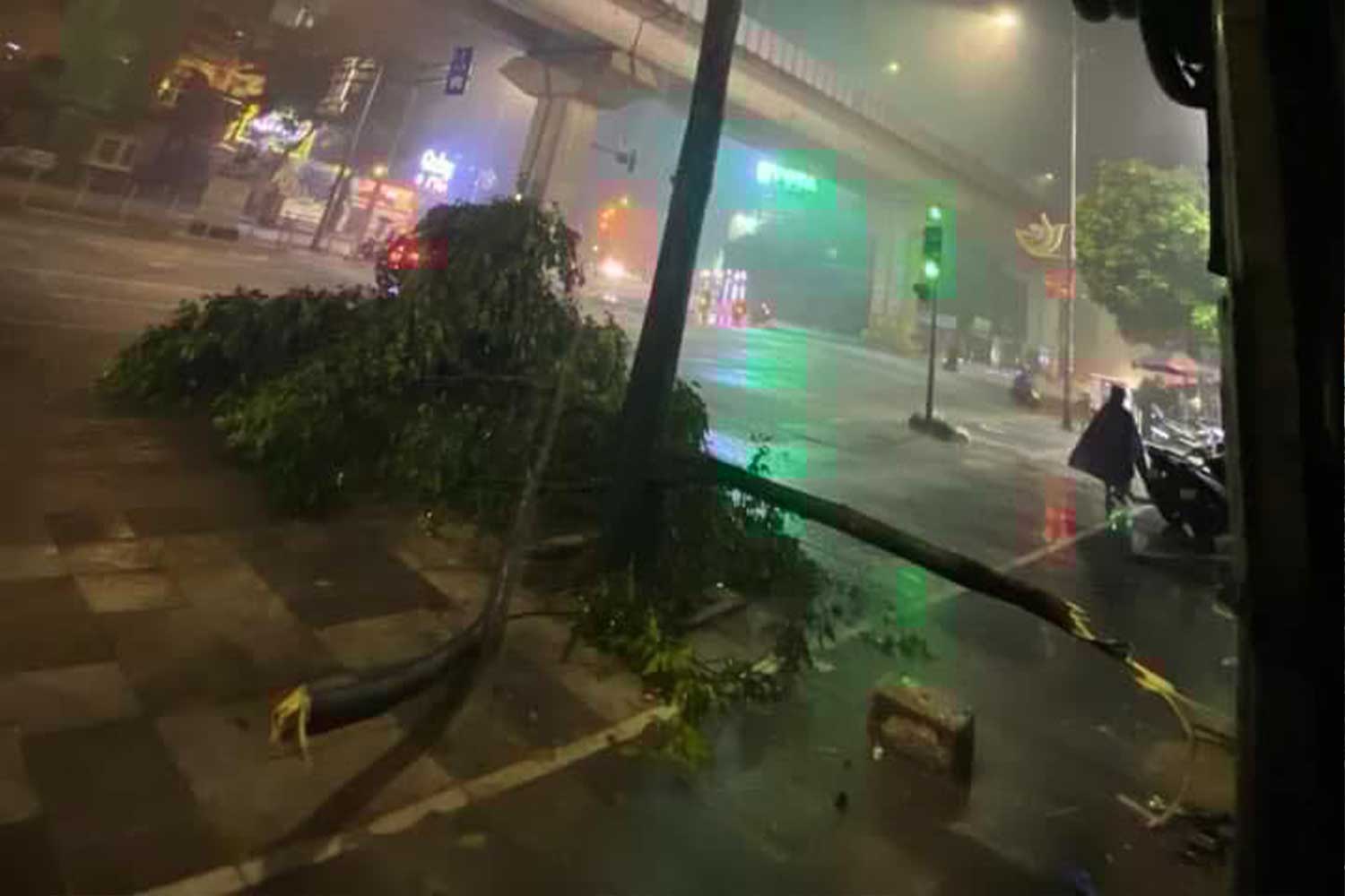 Strong winds caused many trees to be uprooted and fall. (Photo: Phung Hiep)