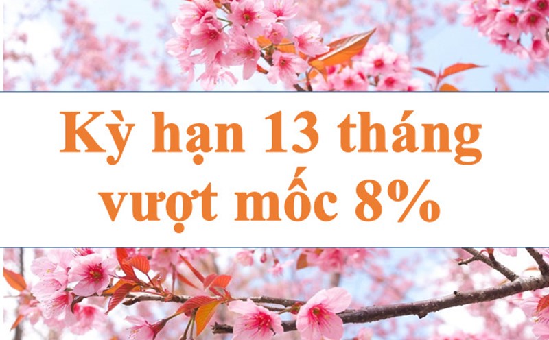Lãi suất kỳ hạn 13 tháng vượt mốc 8%. Ảnh minh họa: Hà Vy