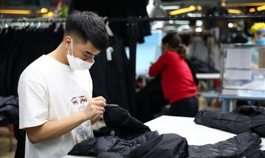 Các thị trường tiêu dùng hàng hóa lớn của Việt Nam đều tăng lượng đơn hàng, nhờ đó xuất khẩu tăng 2 con số. 
Ảnh: Cường Ngô
