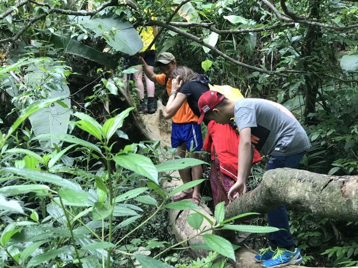 Năm 2023, Việt Nam đã bán thành công 10,3 triệu tín chỉ carbon rừng. Ảnh: Hải Nguyễn