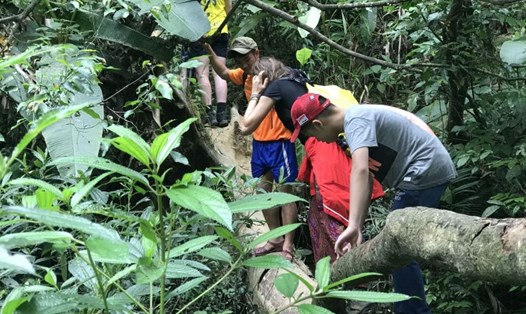 Năm 2023, Việt Nam đã bán thành công 10,3 triệu tín chỉ carbon rừng. Ảnh: Hải Nguyễn