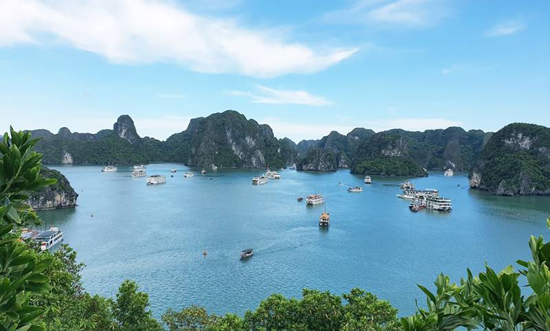 Ha Long Bay is one of the destinations on the tour group's itinerary. Photo: Vietnam National Tourism Administration