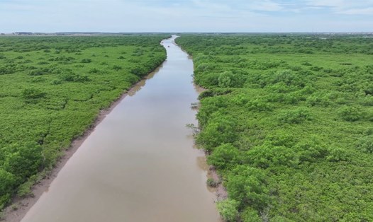 Khu bảo tồn thiên nhiên đất ngập nước Tiền Hải có tổng diện tích 12.500ha. Ảnh: Nam Hồng