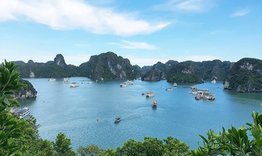 Vịnh Hạ Long là một trong những điểm 4.500 khách Ấn Độ tham quan. Ảnh: Cục Du lịch Quốc gia Việt Nam