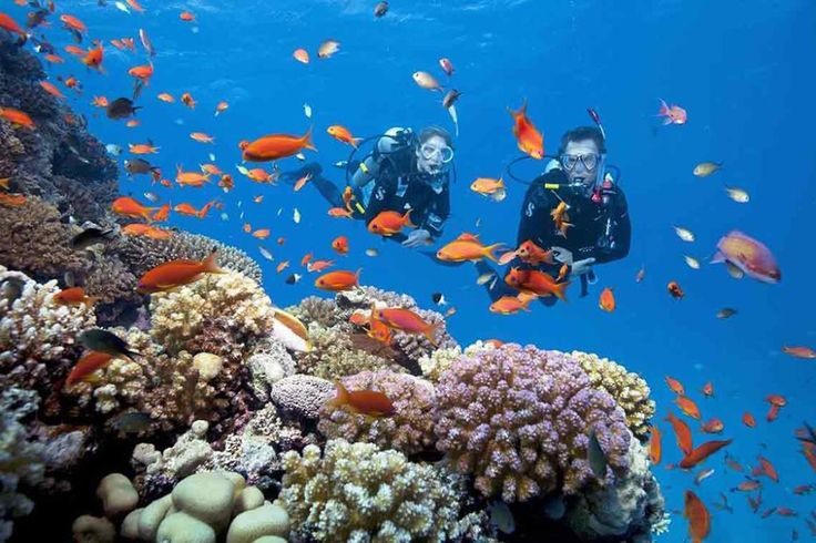 Tourists are excited about scuba diving in Nha Trang. Photo: General Department of Tourism