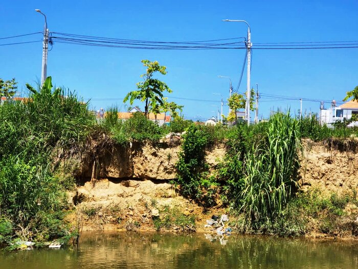 Bờ sông Phước Giang, đoạn qua xã Hành Minh và thị trấn Chợ Chùa, huyện Nghĩa Hành, tỉnh Quảng Ngãi bị sạt lở nghiêm trọng. Ảnh: Viên Nguyễn