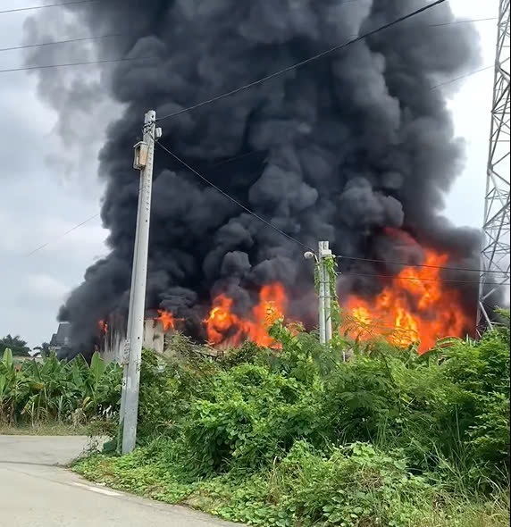 Cháy nhà xưởng ở Bình Dương. Ảnh cắt từ clip bạn đọc cung cấp