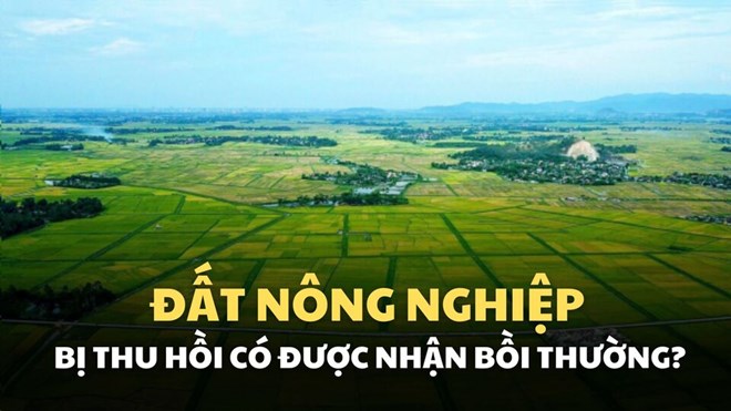 Đất nông nghiệp bị Nhà nước thu hồi, tiền bồi thường ra sao?