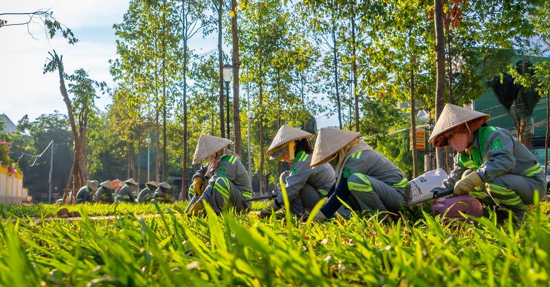 The work: Adding green to life by author Alex Cao (Cao Nguyen Vu) won the prize for photos with beautiful lighting.