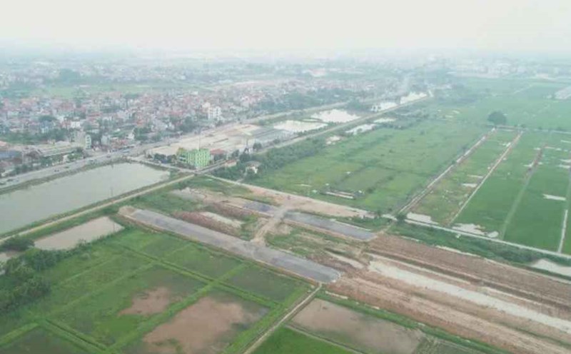 Phiên đấu giá ở Hoài Đức đang nhận được nhiều sự quan tâm của người dân. Ảnh: Linh Trang