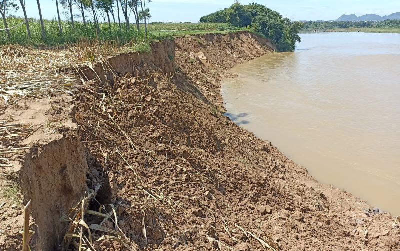 The bank of Chu River (section passing Tho Hai commune, Tho Xuan district, Thanh Hoa) suffered serious landslides. Photo: Minh Hoang