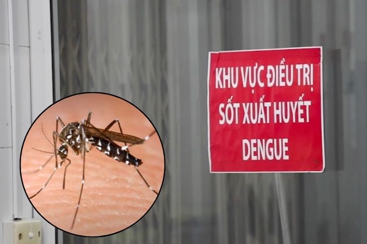 Ổ dịch sốt xuất huyết