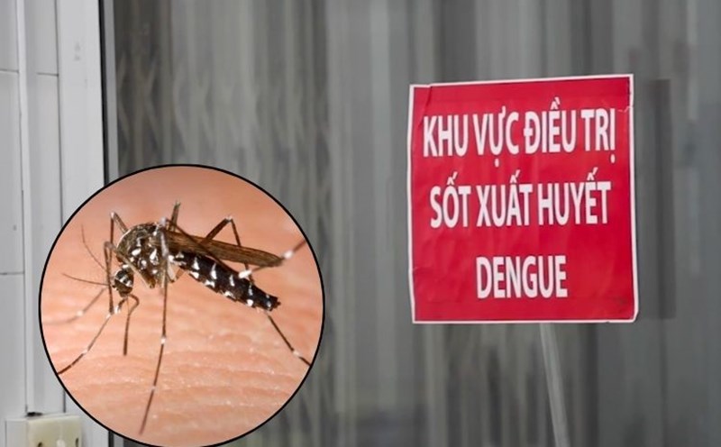 Ổ dịch sốt xuất huyết