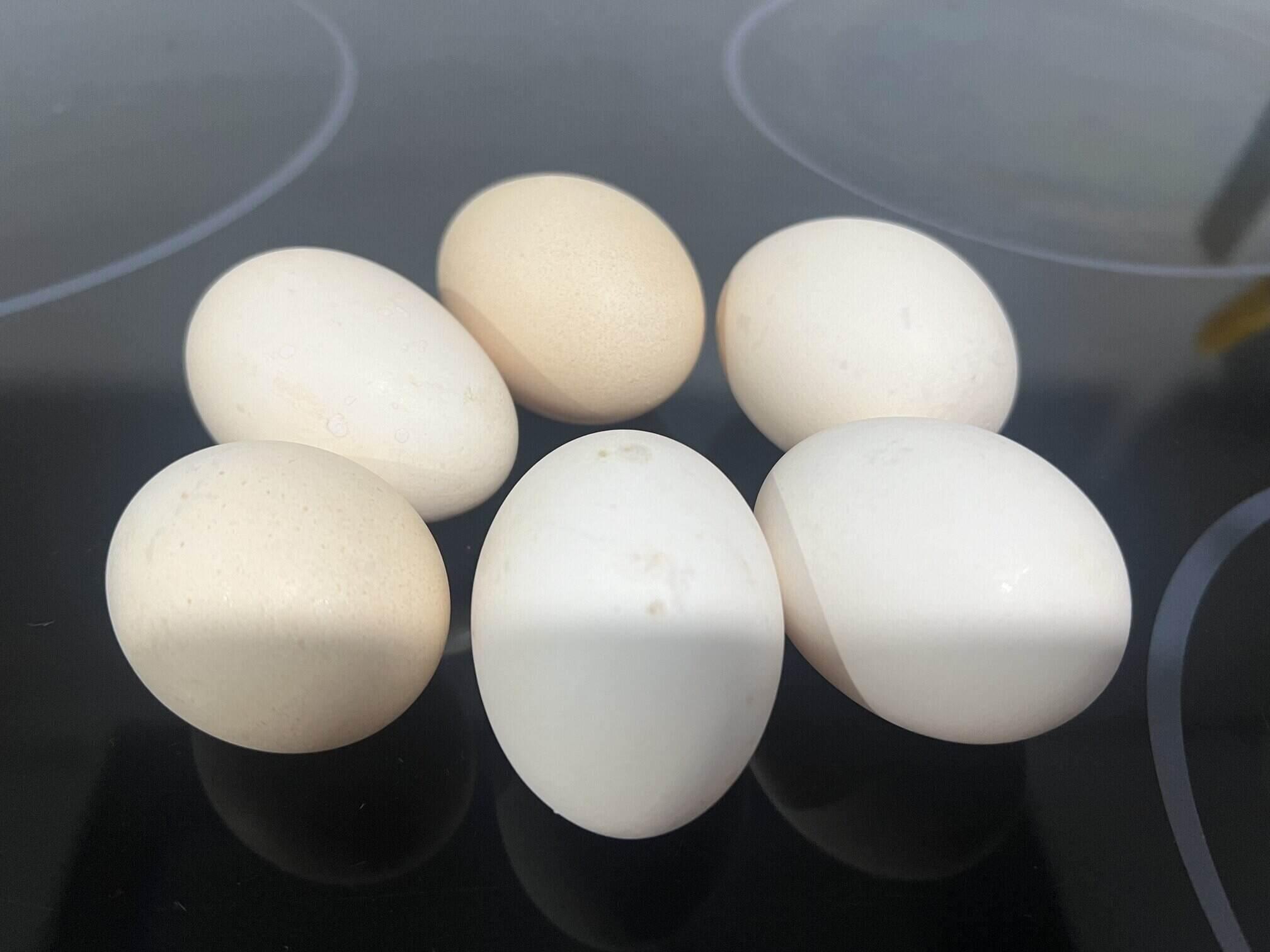 Trứng là loại thực phẩm tốt cho bữa sáng hỗ trợ giảm mỡ bụng. Ảnh: Kiều Vũ