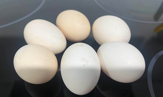 Trứng là loại thực phẩm tốt cho bữa sáng hỗ trợ giảm mỡ bụng. Ảnh: Kiều Vũ