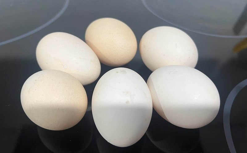 Trứng là loại thực phẩm tốt cho bữa sáng hỗ trợ giảm mỡ bụng. Ảnh: Kiều Vũ